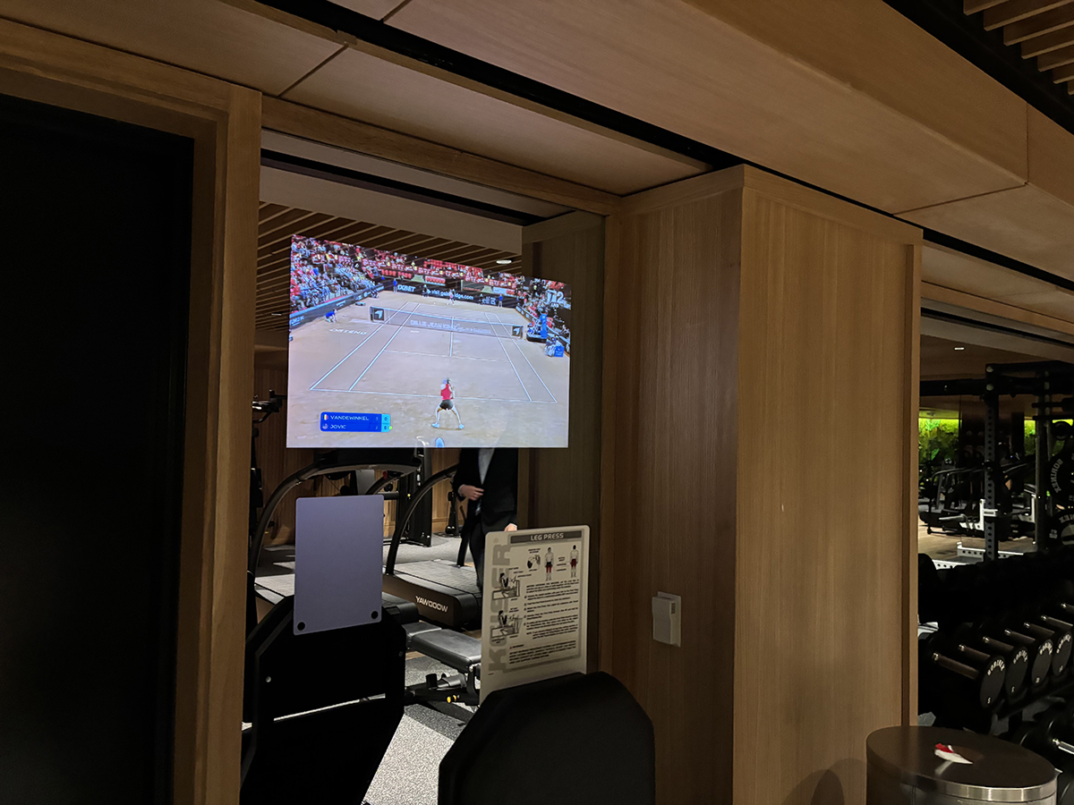TV mirrors
